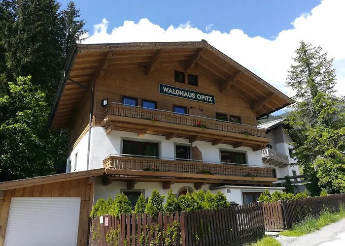 Apartment Waldhaus Opitz