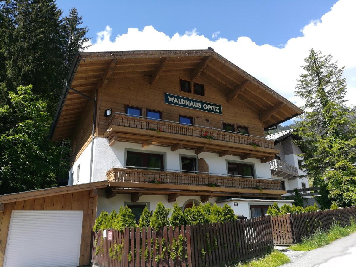 Waldhaus Opitz Apartment